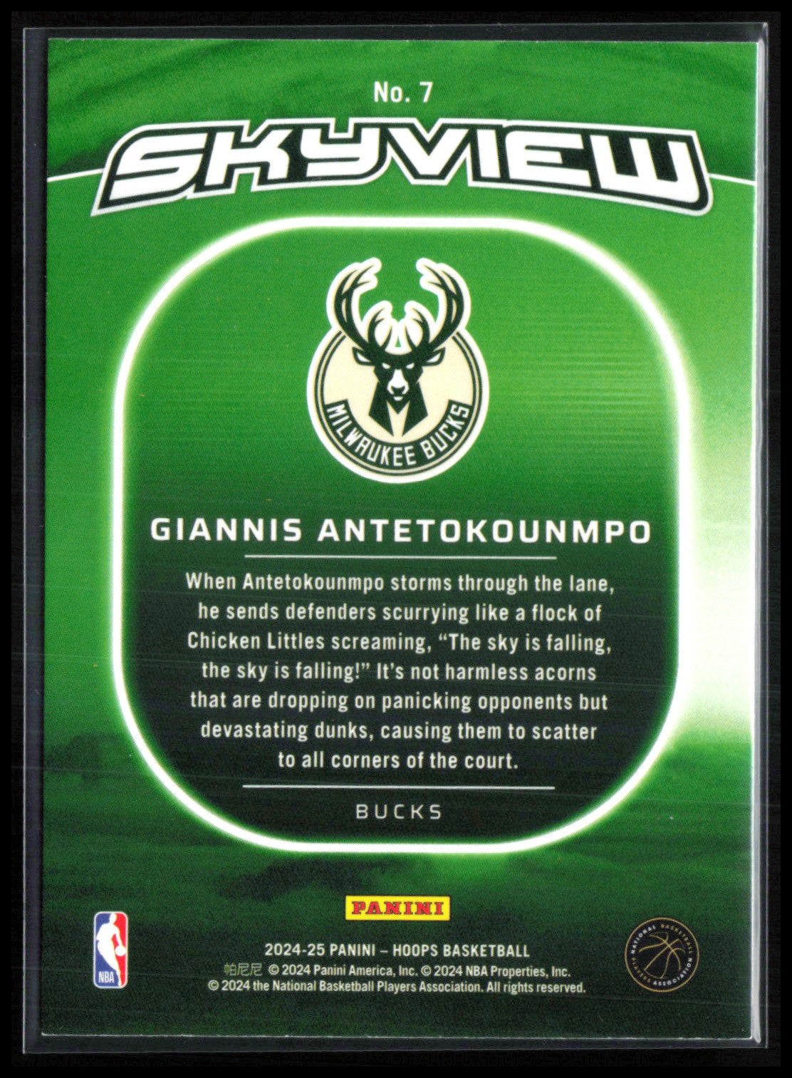 Giannis Antetokounmpo SkyView