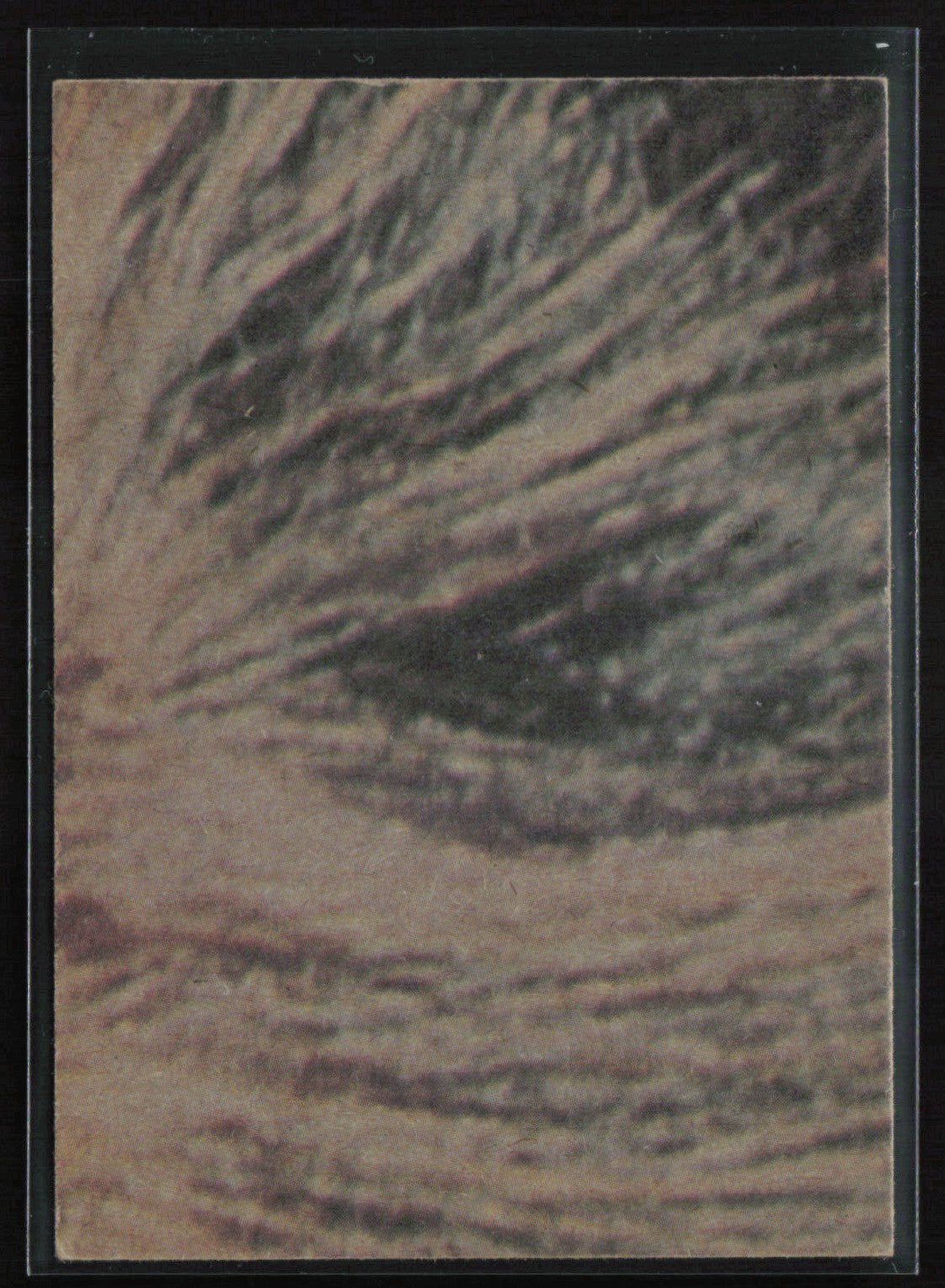 Threatened by Sandpeople! 1977 Topps Star Wars