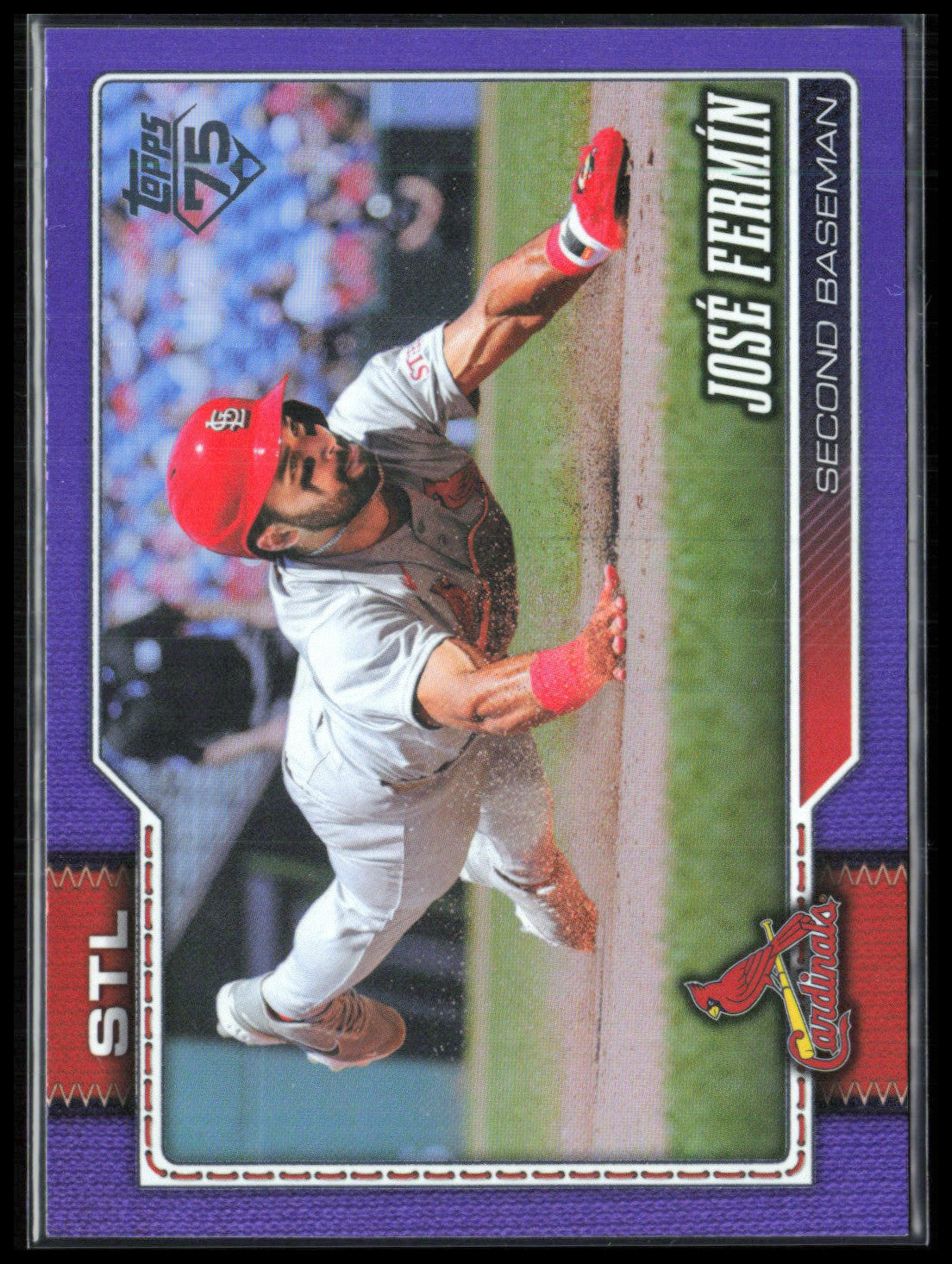 Jose Fermin Purple /250