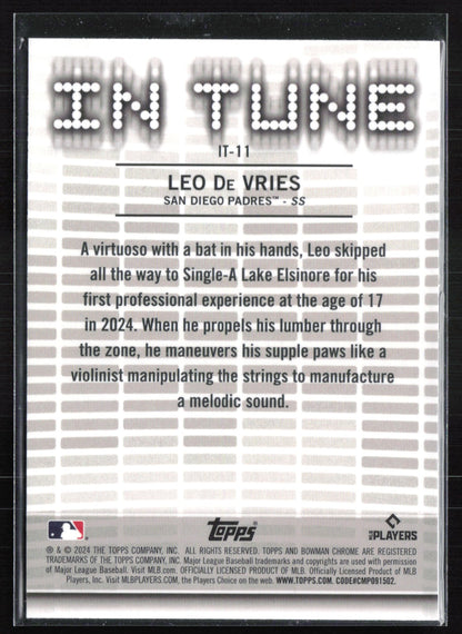 Leo De Vries In Tune