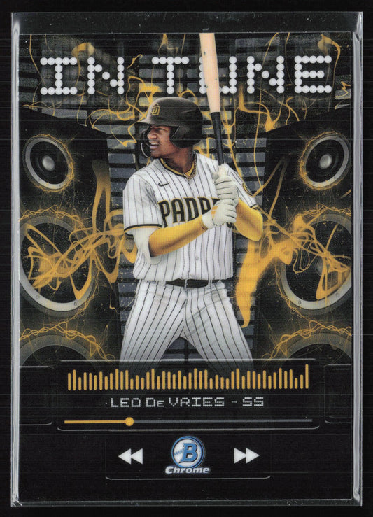 Leo De Vries In Tune
