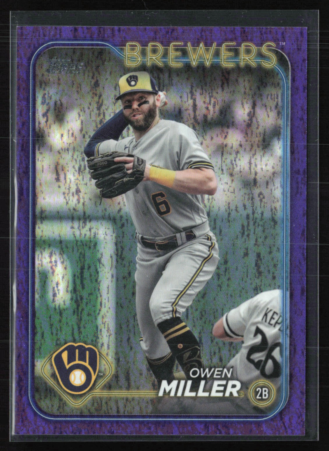 Owen Miller Purple /799