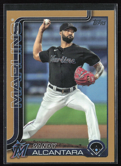 Sandy Alcantara /2025