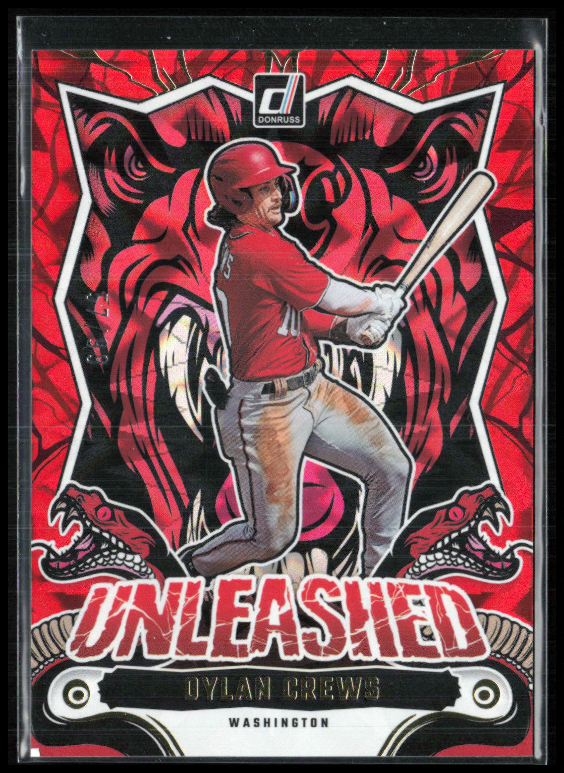 Dylan Crews Unleashed