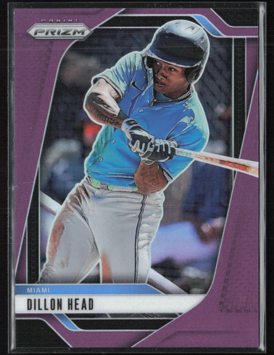 Dillon Head Purple /149