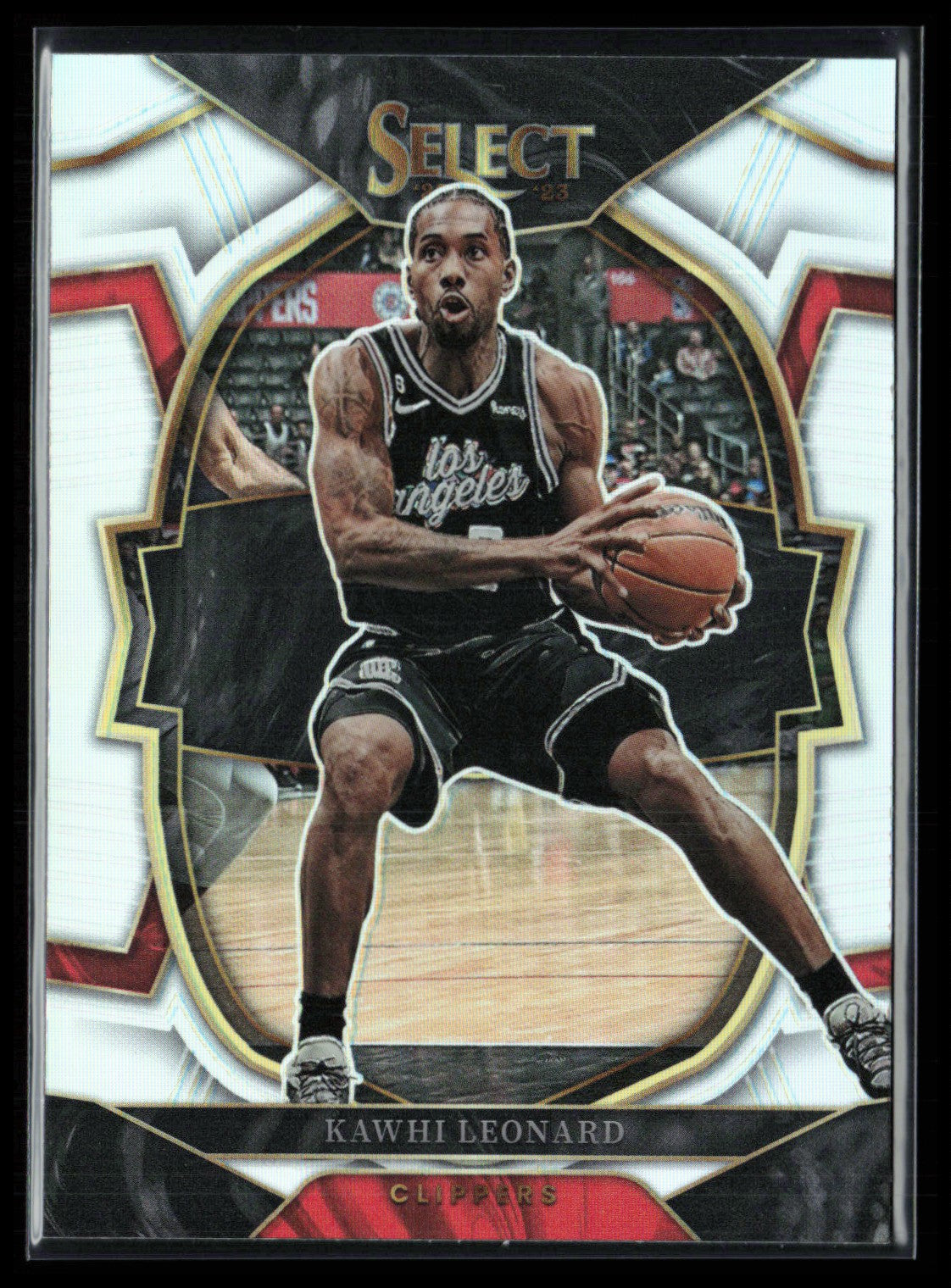 Kawhi Leonard Silver