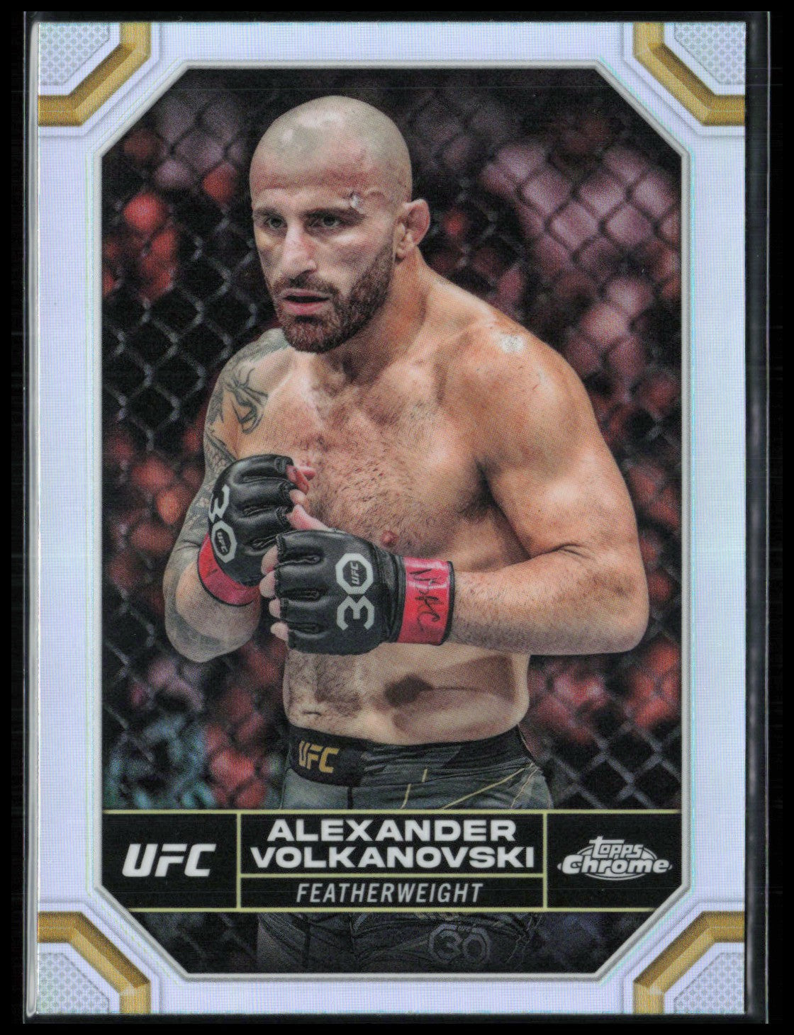 Alexander Volkanovski Refractor