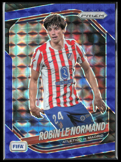 Robin Le Normand Blue /209