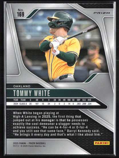 Tommy White Blue Ice