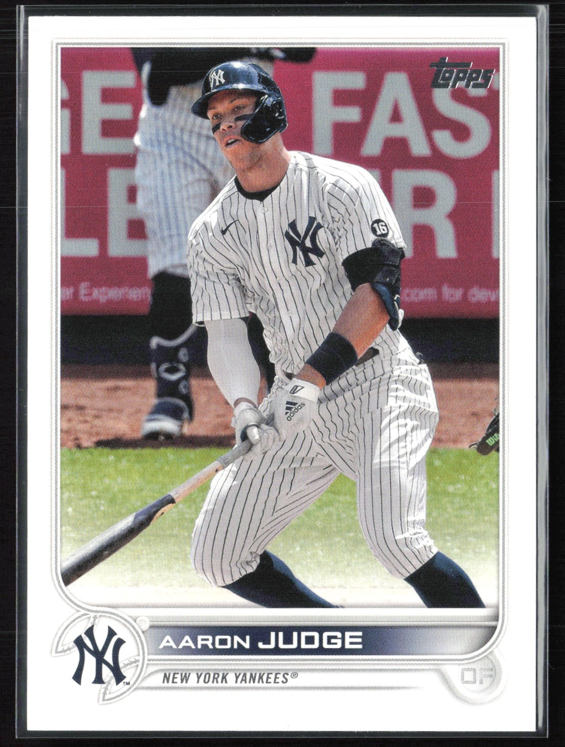 Aaron Judge