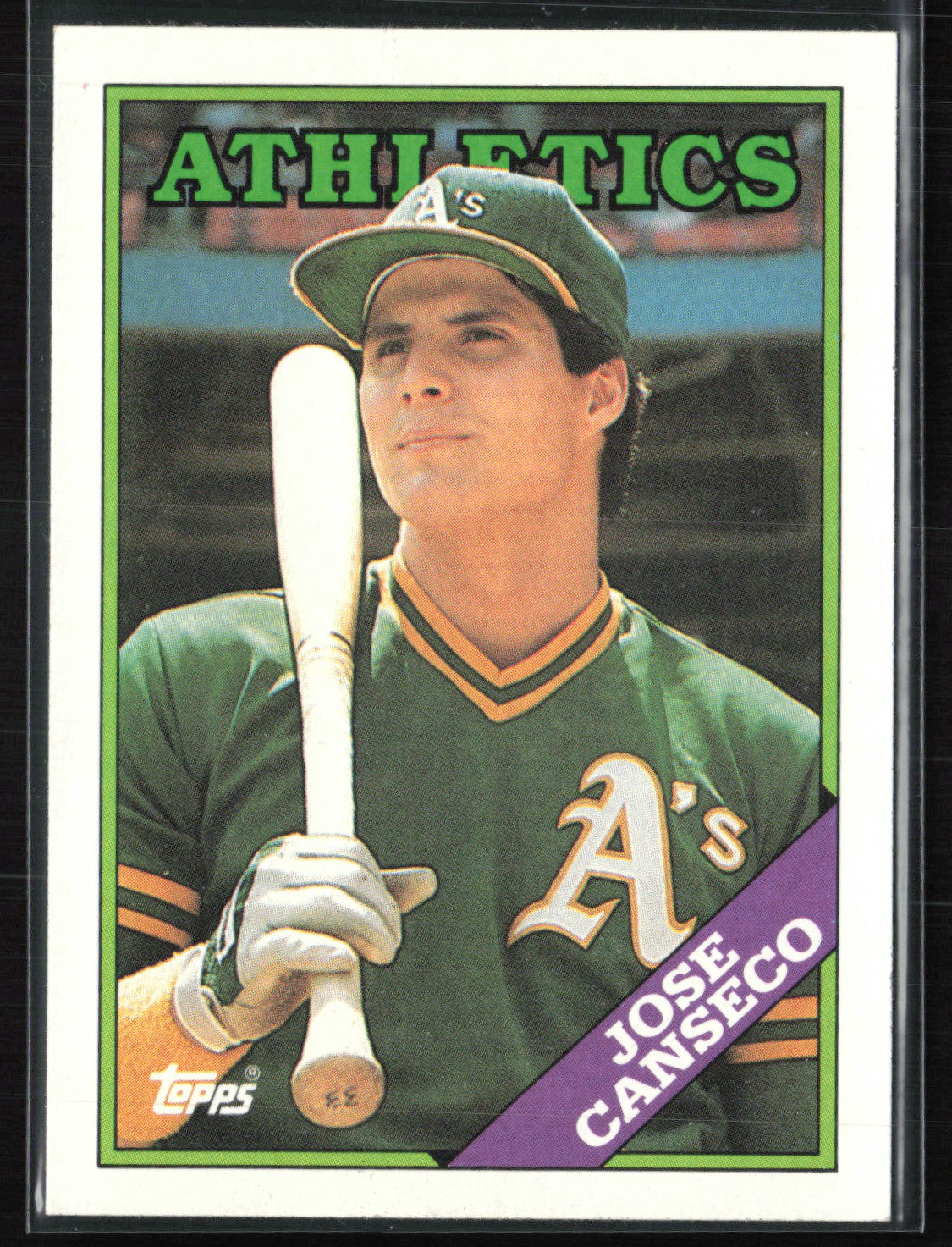 Jose Canseco