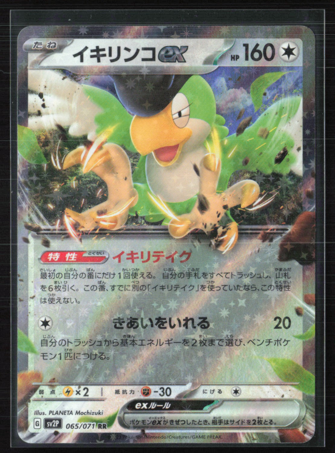 Squawkabilly ex
