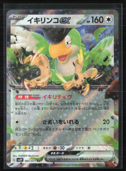 Squawkabilly ex