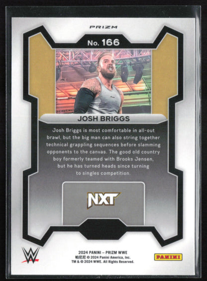 Josh Briggs