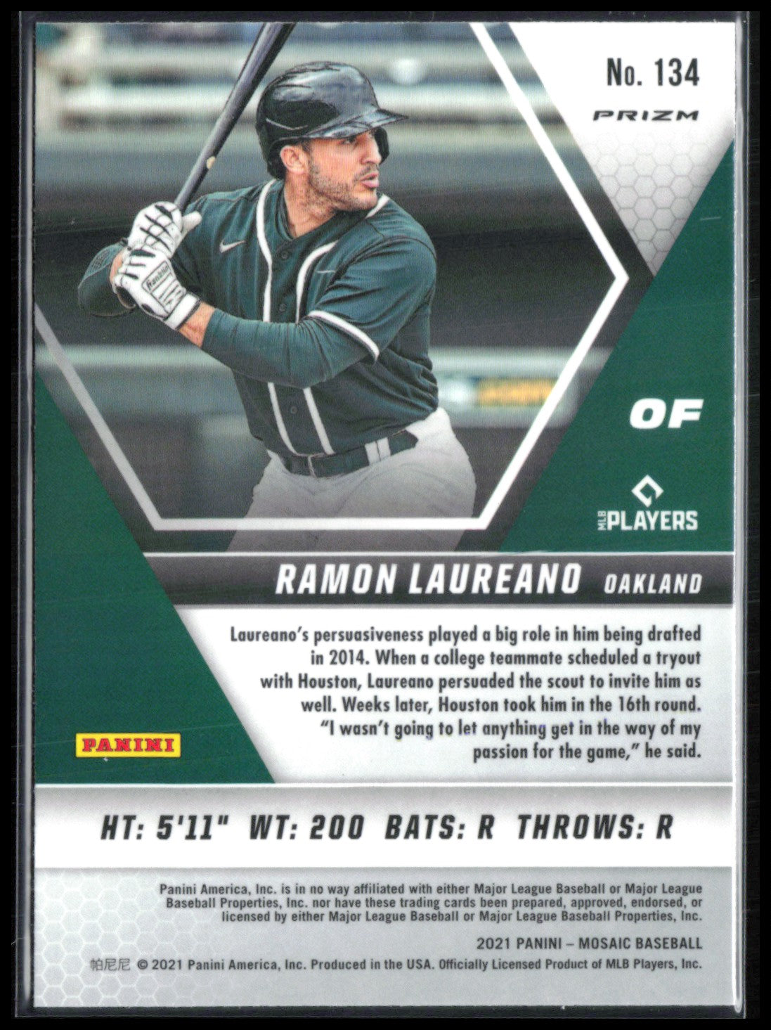Ramon Laureano Green Mosaic