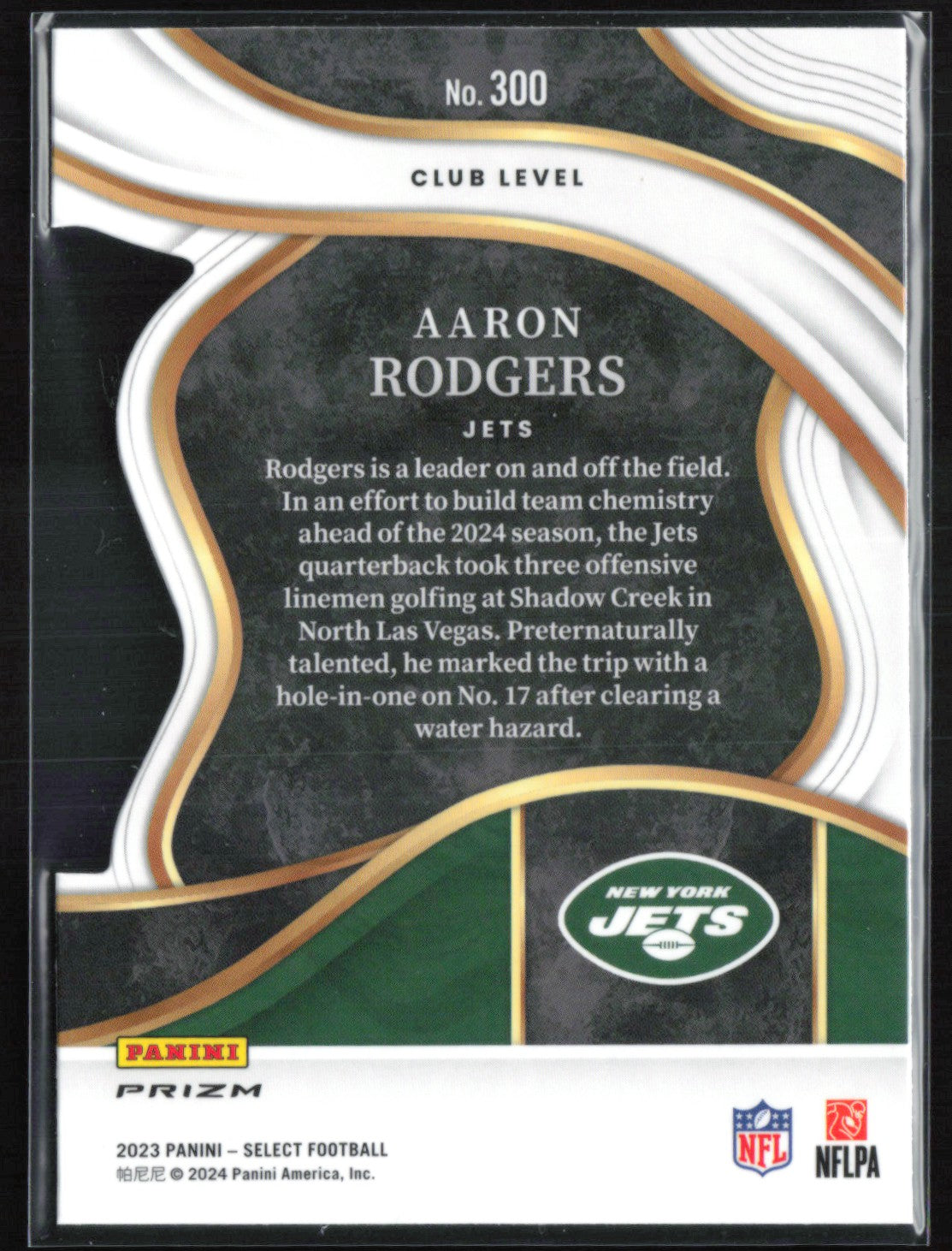 Aaron Rodgers Gold Black Die-Cut