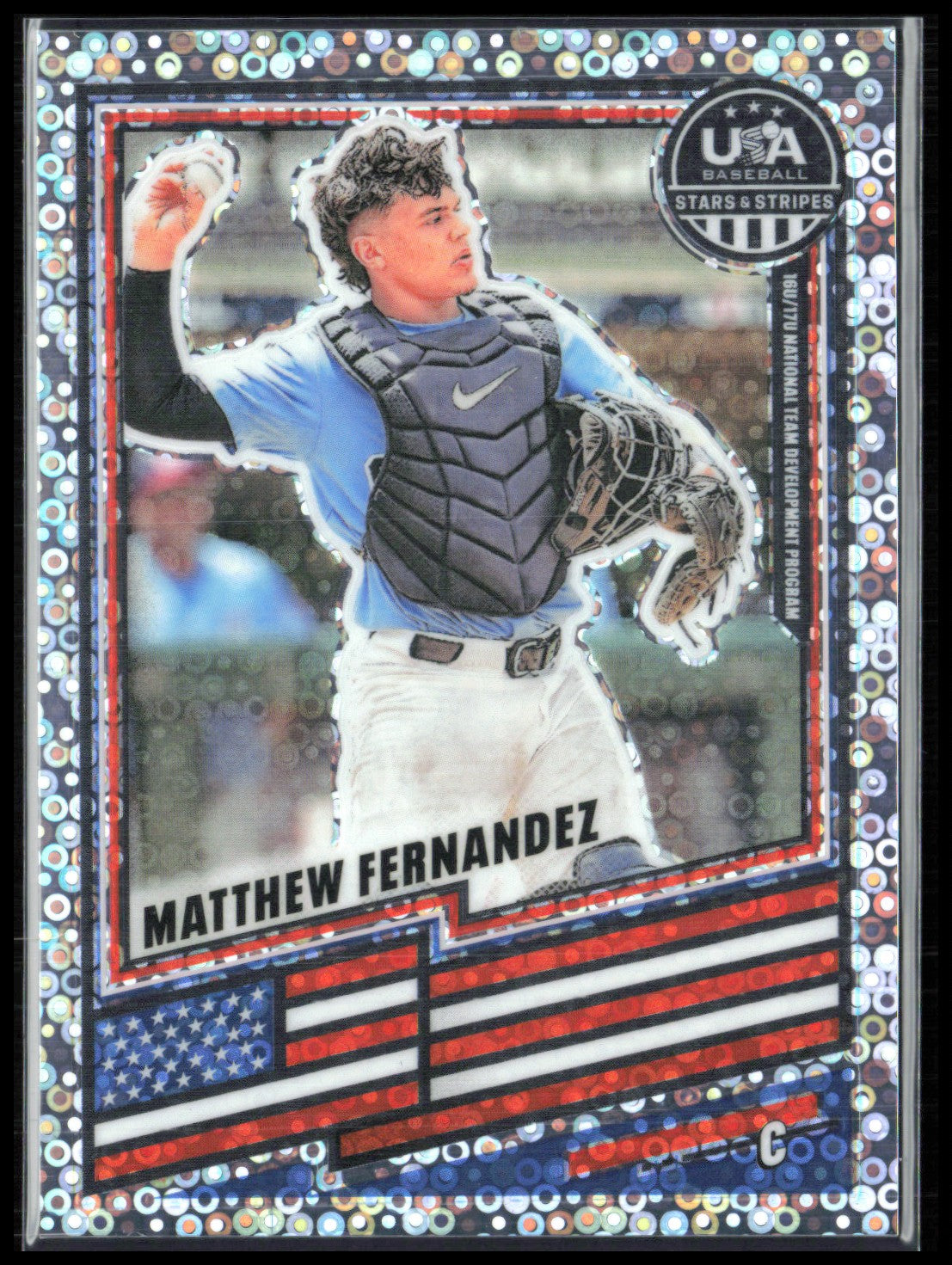 Matthew Fernandez Disco