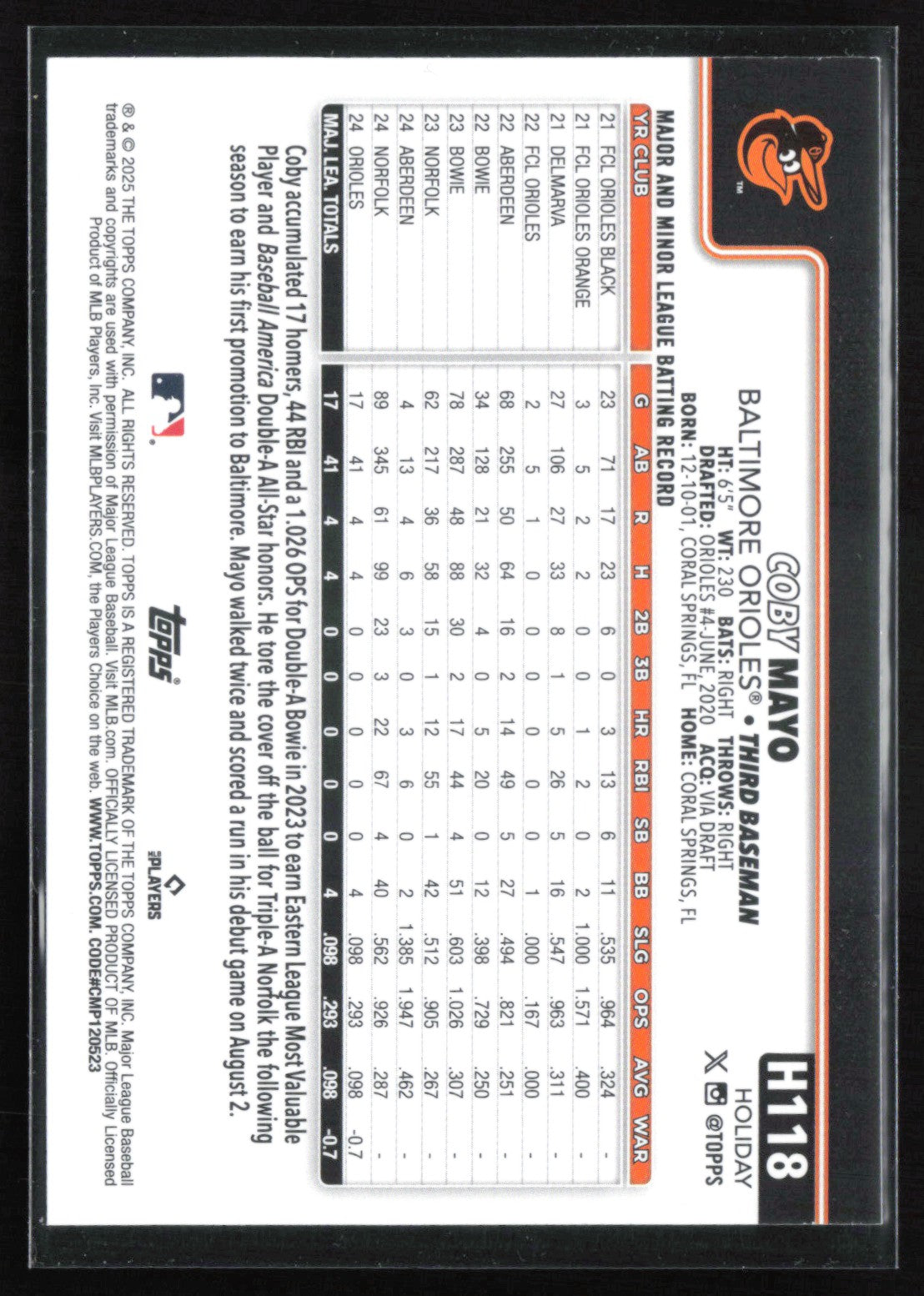 Coby Mayo RC String Lights Variation