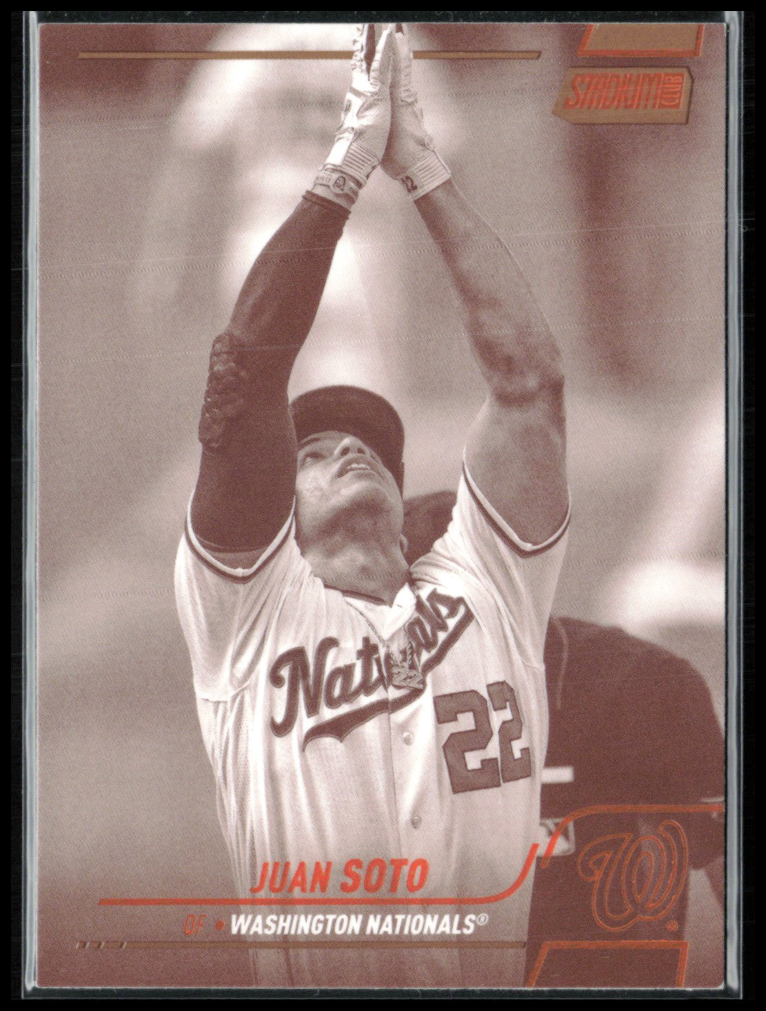 Juan Soto Sepia