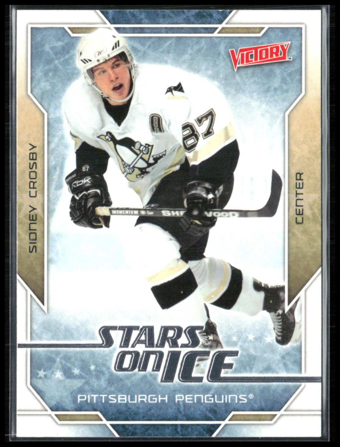 Sidney Crosby Stars on Ice