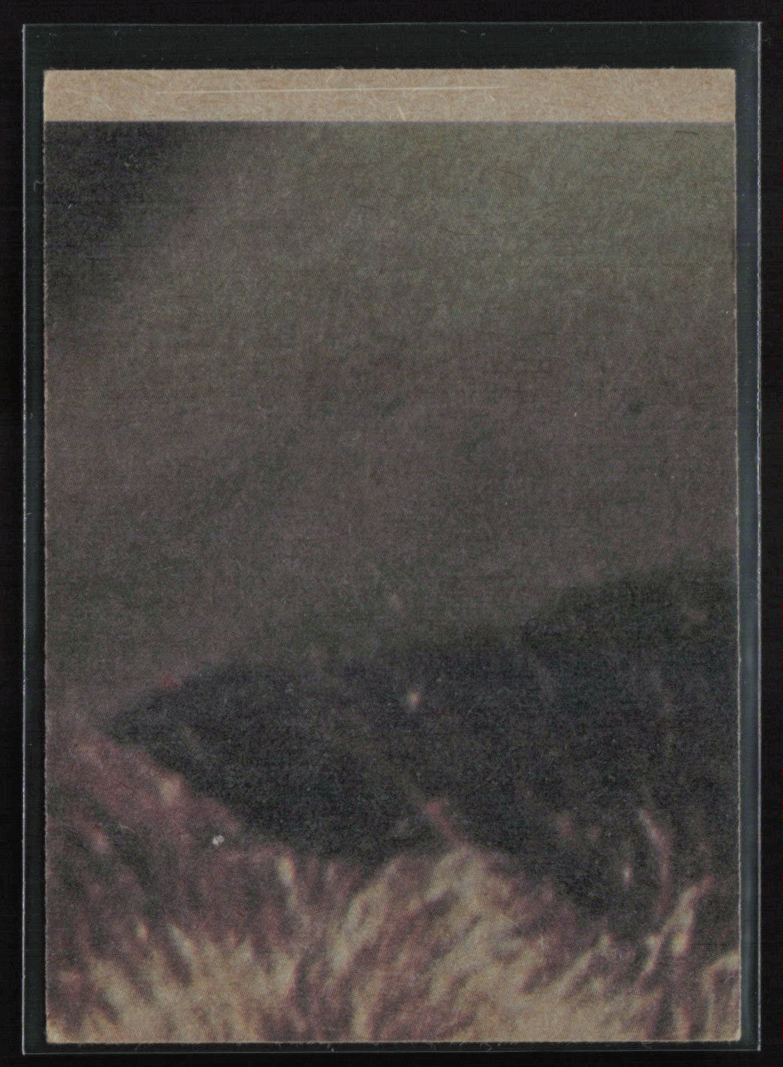 See-Threepio and Luke 1977 Topps Star Wars