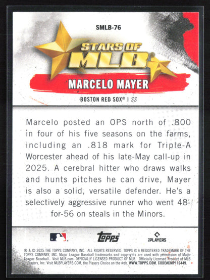 Marcelo Mayer RC