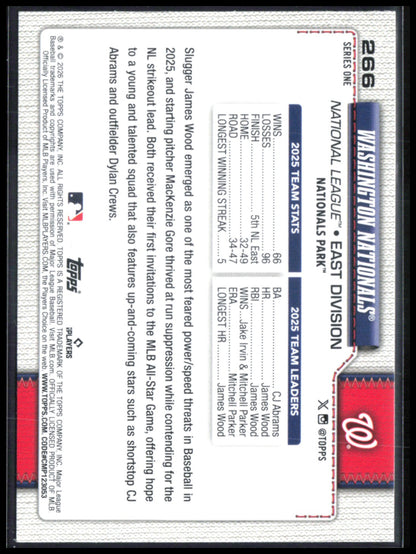 Washington Nationals Sandglitter