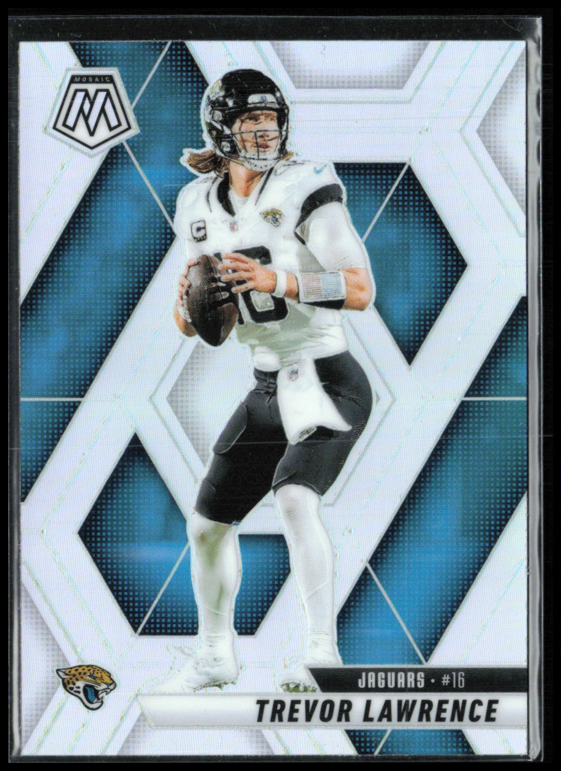 Trevor Lawrence Holo