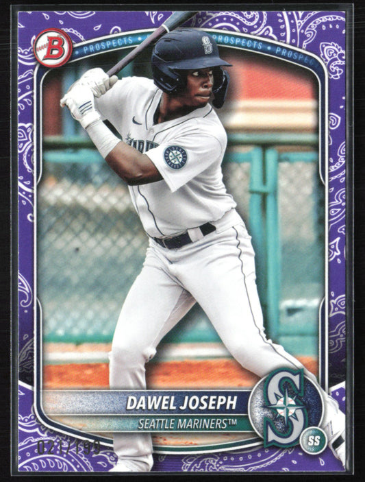 Dawel Joseph Purple Bandana /199