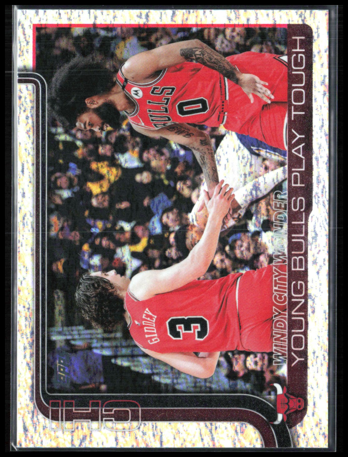 Windy City Wonder: Young Bulls Play Tough Foil
