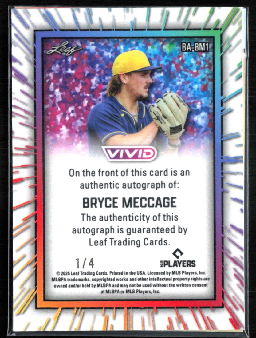 Brando Mayea Auto /4 Leaf Vivid Technicolor