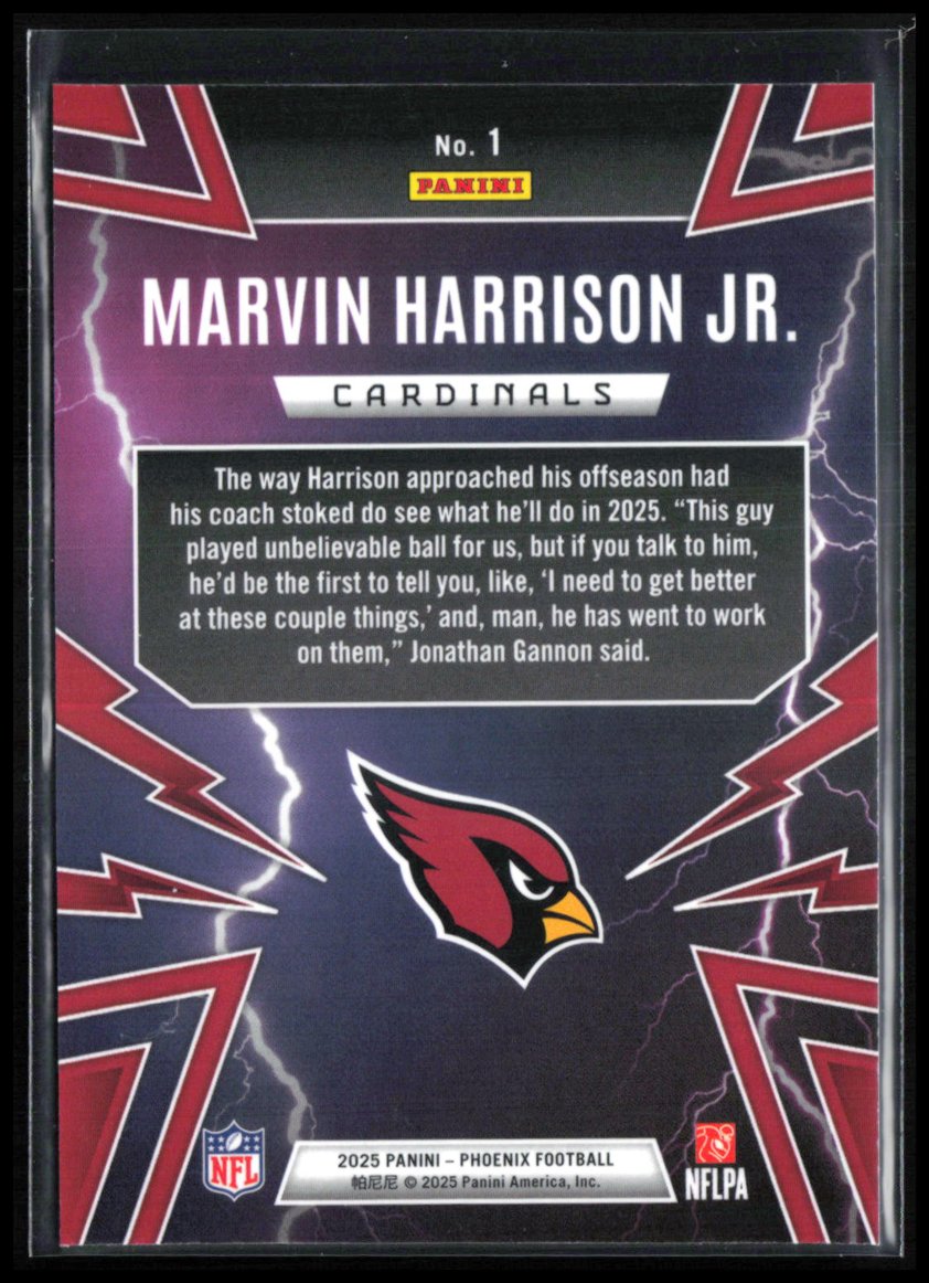 Marvin Harrison Jr. Thunderbirds