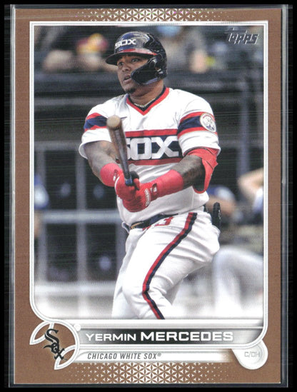 Yermin Mercedes /2022