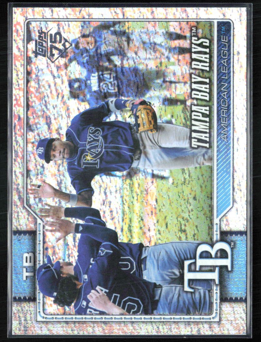 Tampa Bay Rays Foil