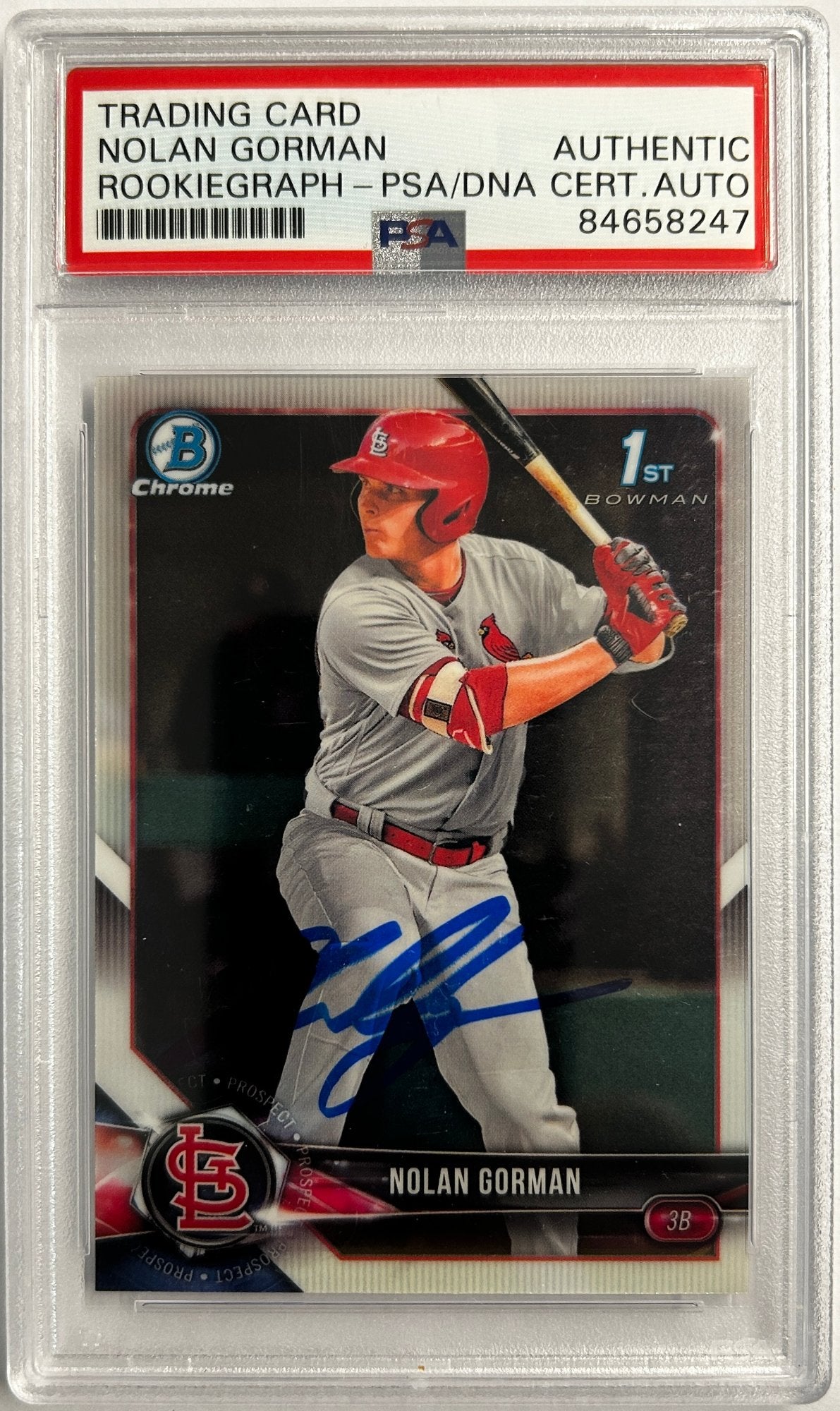 Nolan Gorman Auto PSA/DNA Certified Authentic