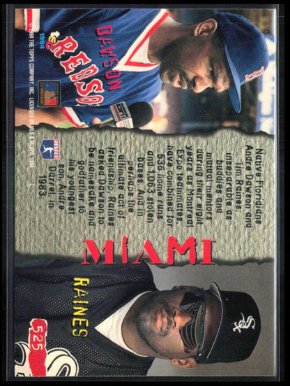 Andre Dawson/Tim Raines