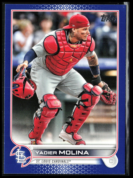 Yadier Molina Blue – Dollar Box