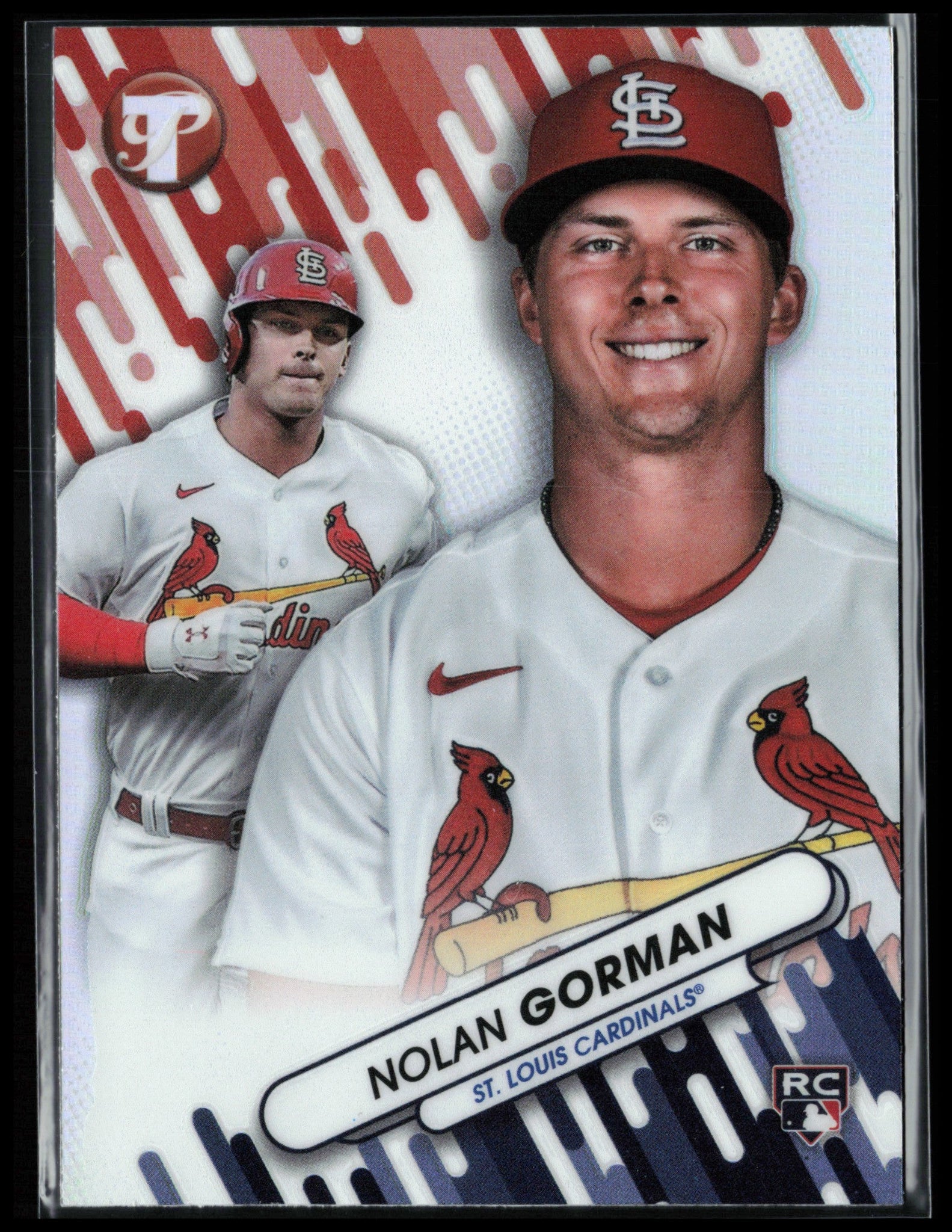 DVUSD Portrait of a Graduate: Nolan Gorman 